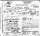 Death Certificate:  Ashley, Sarah Angeline (Shelby) d.1916